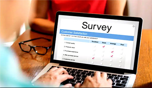 online survey make money